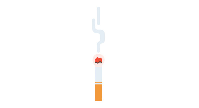 A single ignited wooden matchstick burns with a bright orange flame while thin wisps of grey smoke rise vertically against a clean white background.