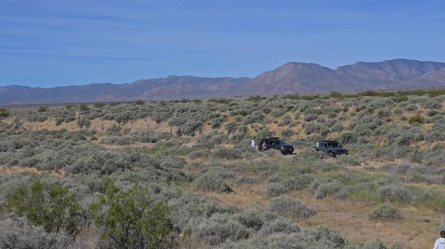 Pair of offroad vehicles in lush desert wash.