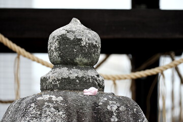 日本の神社で見つける可愛いピンクのうさぎ守りと石灯籠の伝統風景 © taka