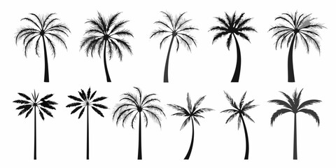 Obraz premium Collection of silhouetted palm trees in varying shapes and sizes