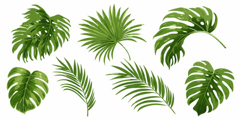 Collection of vibrant tropical leaves on a clean white background © Ranajit
