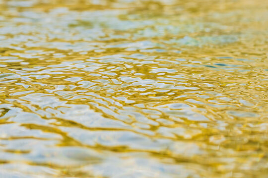 春の清流　揺らぐ水面をローアングル11