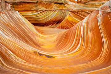 Obraz premium Close Up of The Wave Striped Formation in Coyote Buttes North Arizona