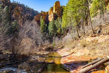 West Fork Trail with Oak Creek in Red Canyon Sedona Arizona