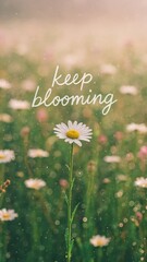 Fototapeta premium Inspirational daisy field message mobile wallpaper