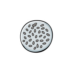 Obraz premium Scientific petri dish filled with small bacterial colonies and culture medium