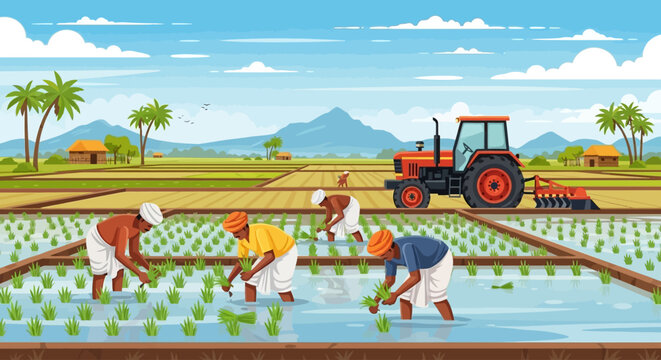Indian farmers transplanting paddy in a rural field with tractor support, illustrating traditional rice cultivation and mechanized agriculture in village landscape