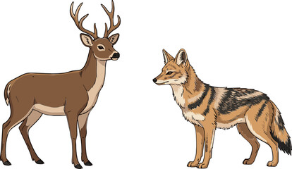 Obraz premium Cartoon Deer and Coyote Illustration Set, Wildlife Animals in Vector Art Style for Nature Lovers