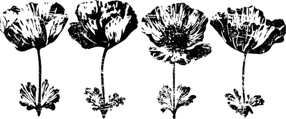 Naklejka premium black and white poppy flowers illustration with detailed petals and leaves in a row