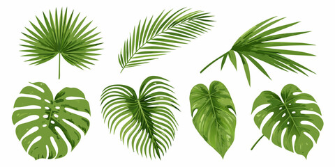 A collection of vibrant tropical leaves in various shapes and sizes © Bithi