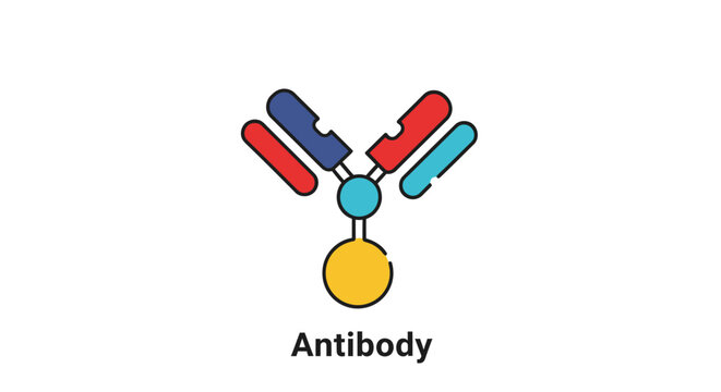 Antibody molecular structure in science.