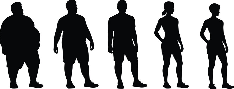 Human body types silhouette from overweight to fit figures, weight loss and fitness transformation concept, healthy lifestyle progression isolated on white background illustration