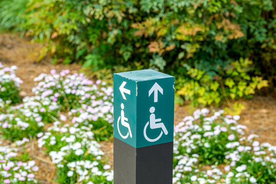 Handicapped Sign with Arrow and Flower Garden