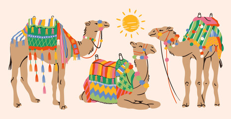 Various Camels with traditional Arabian saddles, different colorful blankets, carpets. Lying, sitting, standing camels in different poses. Hand drawn Vector illustration. Isolated design elements 