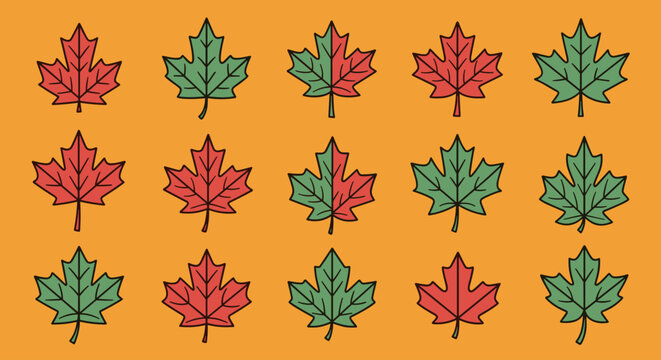 Colorful maple leaves in red green.