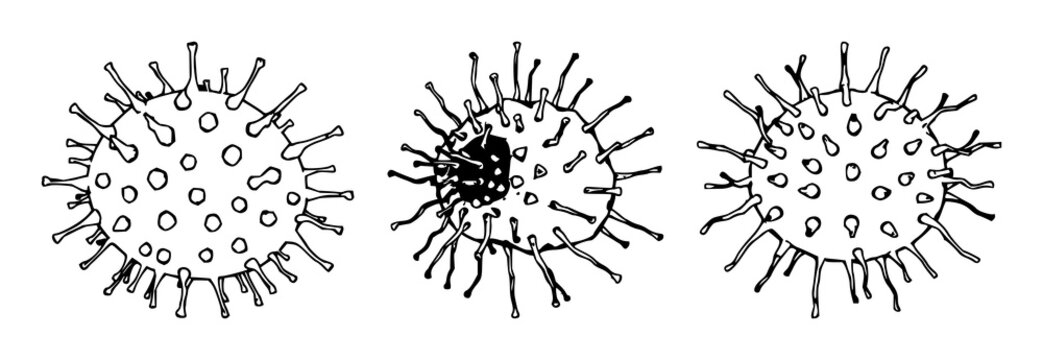 Radiolaria set with sketchy line art featuring microscopic marine shells, organic geometry, radiative symmetry with white background and phycoderm fragments