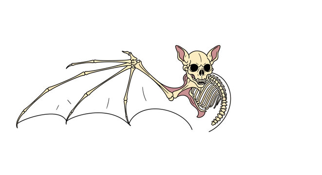 Cartoon flying bat with skeleton face.