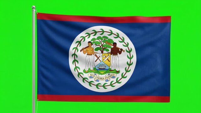 Waving Belize National Flag on Green Screen Background