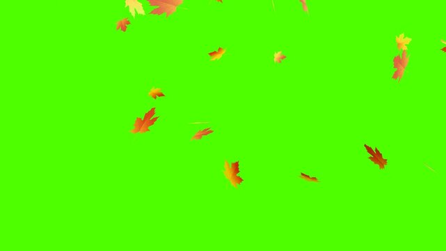 Yellow autumn leaves fly across a green screen chroma key. Cartoon animation of autumn, leaf fall, alpha channel