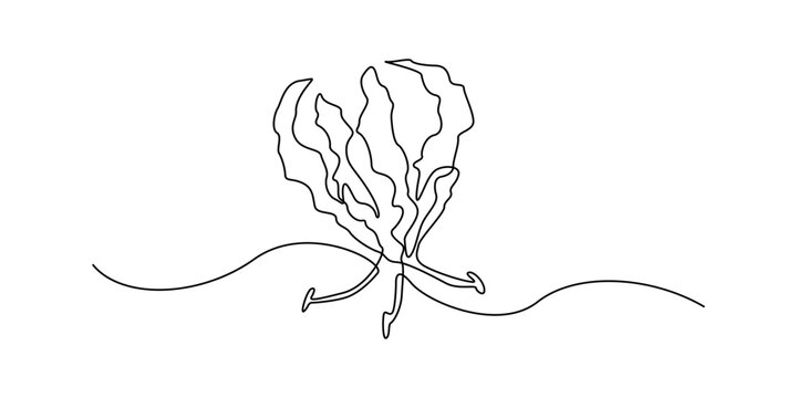 Continuous line drawing of seaweed on ocean floor