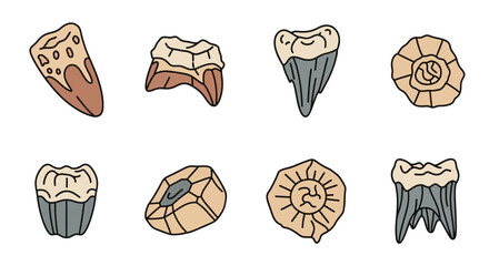 Fossilized Ammonite Shells and Teeth. © Kas