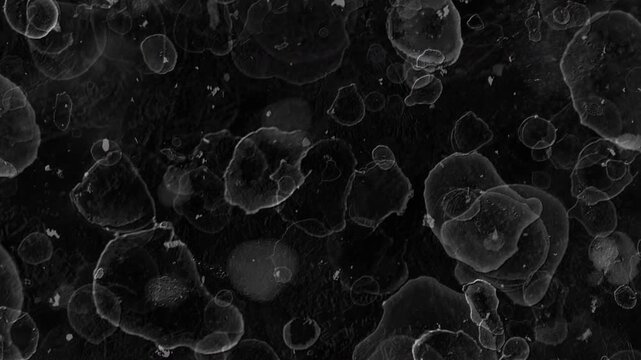 4K Cinematic dark grunge texture overlay featuring high-contrast dried liquid rings, overlapping water spots, and cellular stains on a black background for VFX compositing.