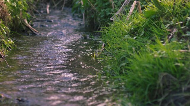 Freshwater spring rippling water