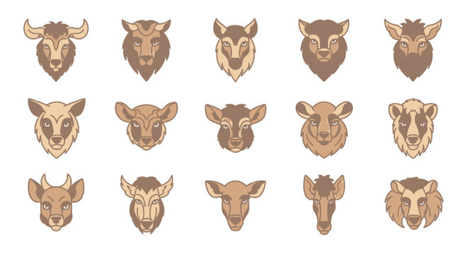 Collection of various animal heads.