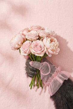 Surreal concept of a gorilla hand wearing a pink tulle glove holding a beautiful bouquet of roses and peonies.