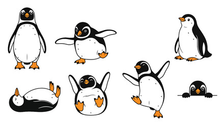 Collection set flat style vector illustration of penguins in different poses, arctic animals isolated, cute bird characters, winter wildlife design © Amie