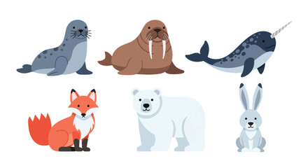 Collection set flat style vector illustration of arctic animals including seal, walrus, narwhal, polar bear and fox, cold wildlife characters isolated © Amie