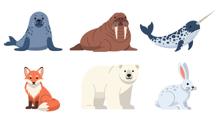 Collection set flat style vector illustration of arctic animals including seal, walrus, narwhal, polar bear and fox, cold wildlife characters isolated © Amie