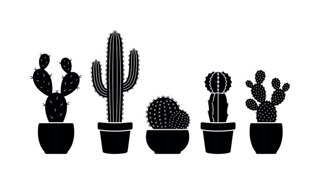 Cactus varieties in pots including prickly pear cactus pot, saguaro cactus pot, hedgehog cactus pot, moon cactus pot, bunny ear
