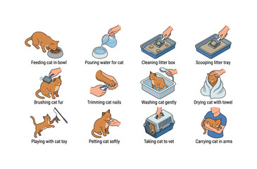 Fototapeta premium Feeding cat in bowl, pouring water for cat, cleaning litter box, scooping litter tray, brushing cat fur, trimming cat nails,