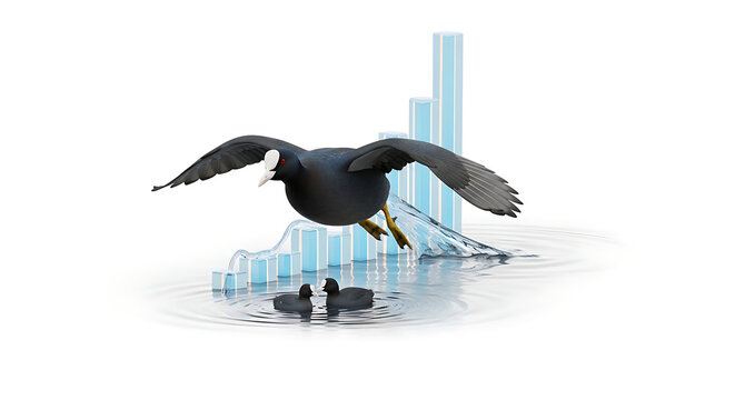 A coot bird takes flight over a pixelated blue bar graph rising from water, symbolizing growth and transition, with two ducklings swimming below