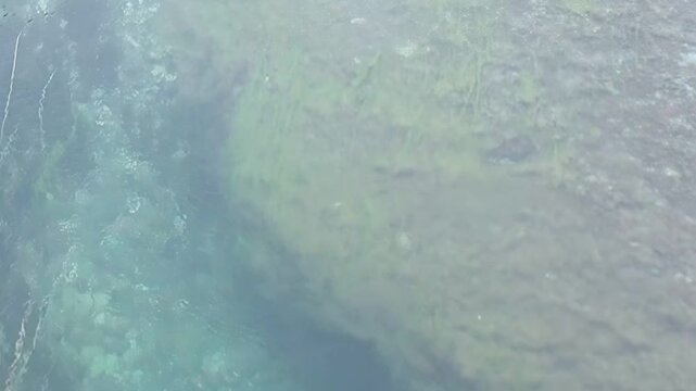 Eerie aquatic realm showing pale turquoise water with shifting, ethereal movements. Algae-covered rocks nestle at the edge, where ripples gently touch the shoreline.
