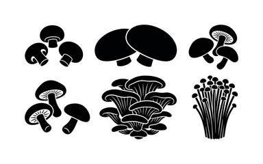 Obraz premium Mushrooms whole varieties including button mushrooms, portobello caps, shiitake mushrooms, oyster mushrooms cluster, enoki