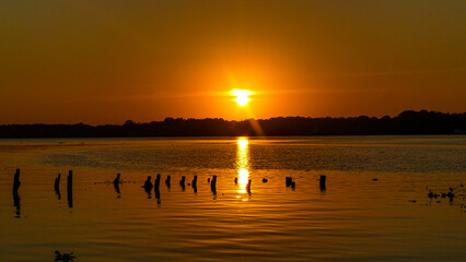 Fototapeta premium Tanjung Puting National Park Tropical Rainforest and River Landscape in Borneo