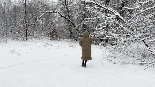Walking In Snowy Winter Forest And Touching Frozen Tree Branches. Adventure During Frosty Weather