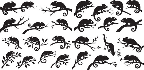 set of chameleon silhouettes on branches. Silhouette  vector illustration with out background. © Misho x Mamun