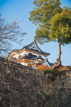 Hikone Castle