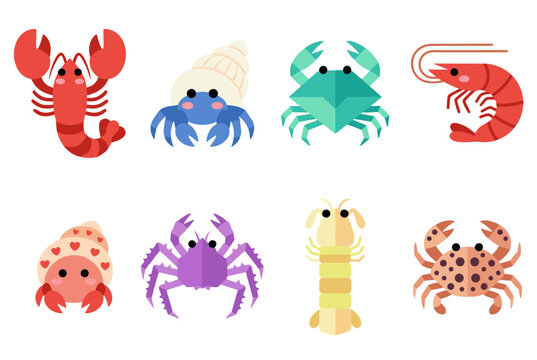 Sea Creature Flat Vector Illustration Set Including Lobster, Hermit Crab, Shrimp and Various Colorful Crab Species Isolated on White Background for Seafood Menu