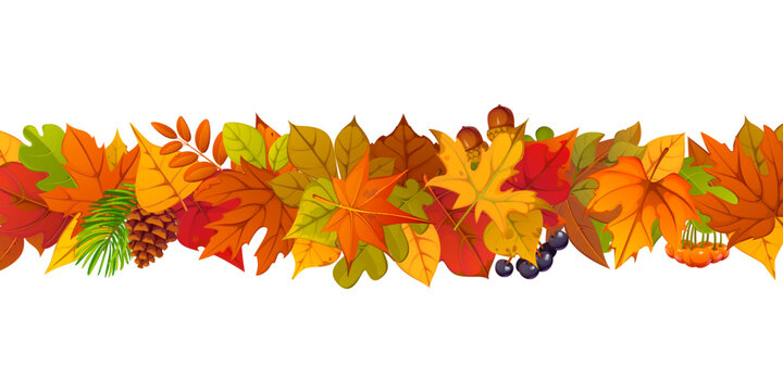 Autumn leaves border with fall season berries, pine cones and acorns. Cartoon vector divider with colorful forest leaves foliage. Cozy seasonal fall garland frame for thanksgiving harvest holiday