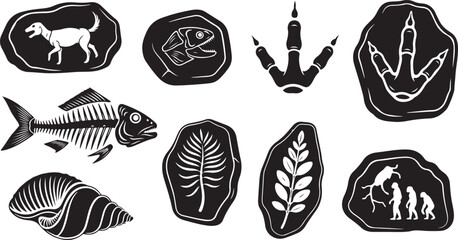 A collection of black and white archaeological vector illustrations including dinosaur footprints, fish skeleton bones, plant imprints, ancient cave drawings, and seashells isolated on white. © Moahmmad