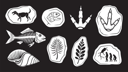 White Prehistoric Fossils and Archaeological Cave Art Vector Elements Collection on Black Background © Moahmmad