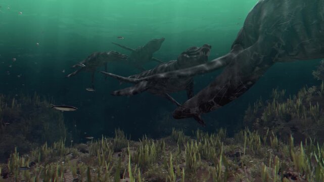 4K 12-second underwater footage of two Kronosaurus hunting in a deep prehistoric ocean. Realistic depiction of marine reptiles swimming through a school of fish in ancient waters