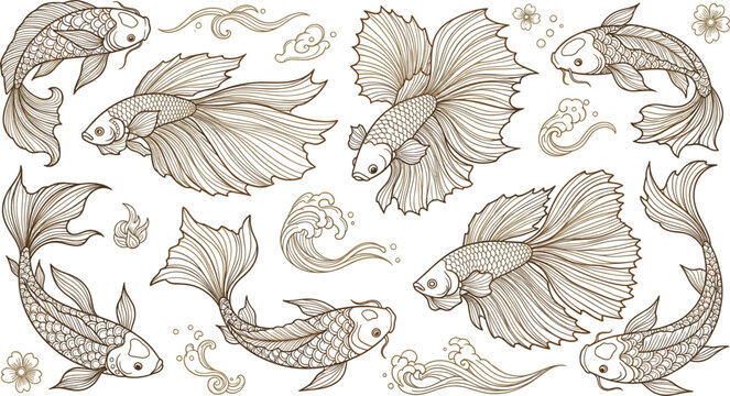 Elegant Betta Fish Line Art Illustration Set with Flowing Fins, Decorative Waves, and Floral Elements for Asian Inspired Aquatic Design
