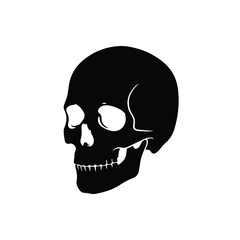 Obraz premium Skull Silhouette Black Side Profile on White