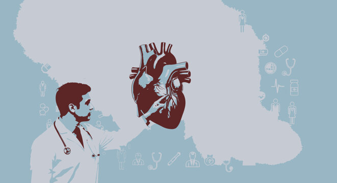 Minimal medical vector illustration, doctor in white coat viewing anatomically detailed human heart with arteries. Flat design in maroon and light blue, healthcare anatomy concept