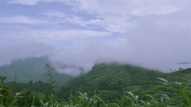 On the top of Keokradong there is a small shelter and a signboard put up by Bangladesh Army proclaiming the elevation to be 967 metres (3,173 ft). Meanwhile the height measured by handheld GPS shows. 